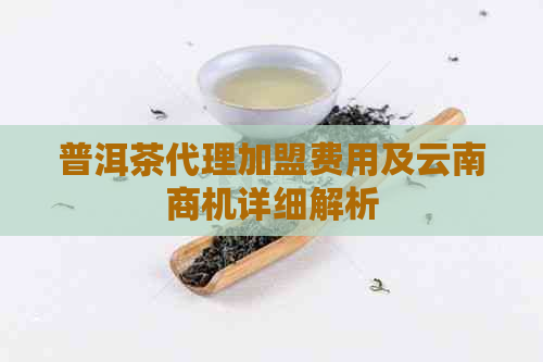 普洱茶代理加盟费用及云南商机详细解析