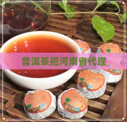 普洱茶招河南省代理