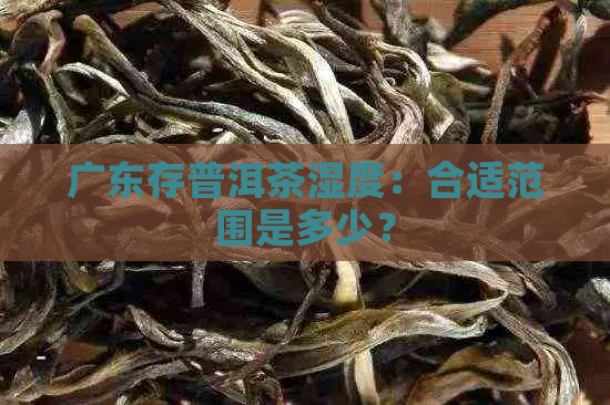 广东存普洱茶湿度：合适范围是多少？