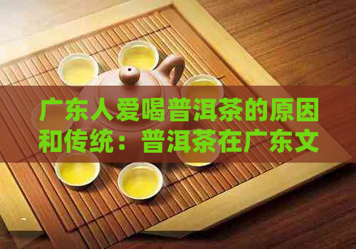 广东人爱喝普洱茶的原因和传统：普洱茶在广东文化中的独特地位