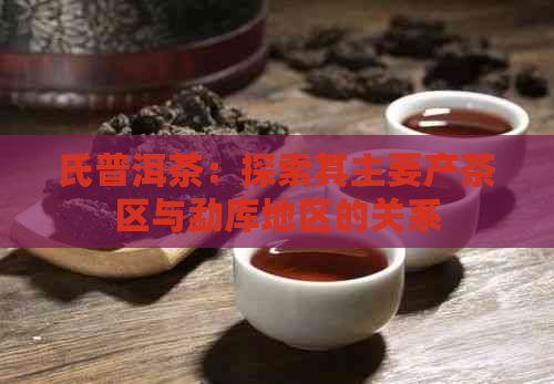 氏普洱茶：探索其主要产茶区与勐库地区的关系