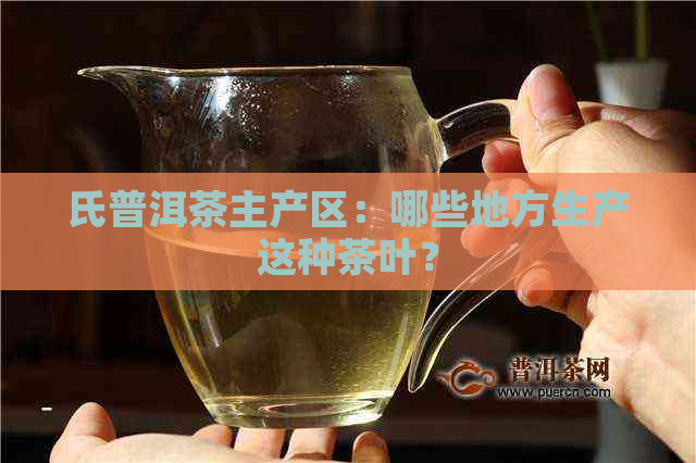氏普洱茶主产区：哪些地方生产这种茶叶？