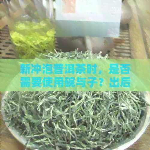 新冲泡普洱茶时，是否需要使用碗与子？出后的效果有何异同？