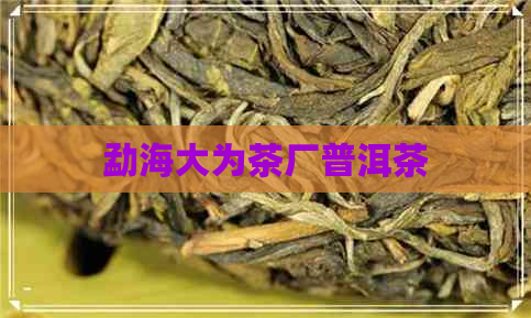 勐海大为茶厂普洱茶