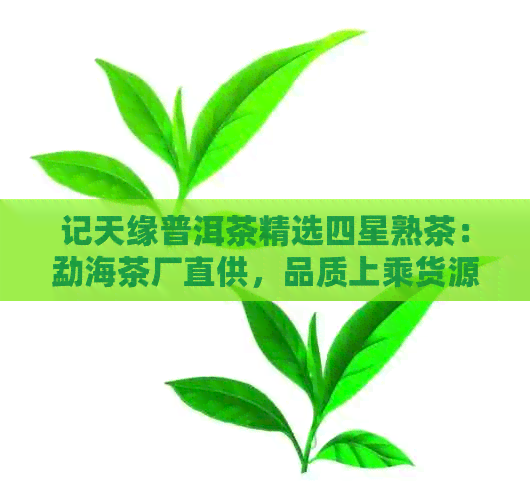 记天缘普洱茶精选四星熟茶：勐海茶厂直供，品质上乘货源保证