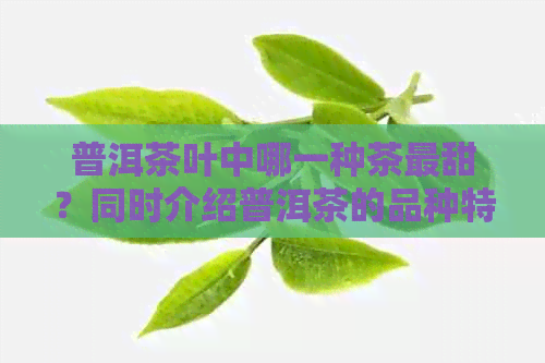 普洱茶叶中哪一种茶最甜？同时介绍普洱茶的品种特点和口感。