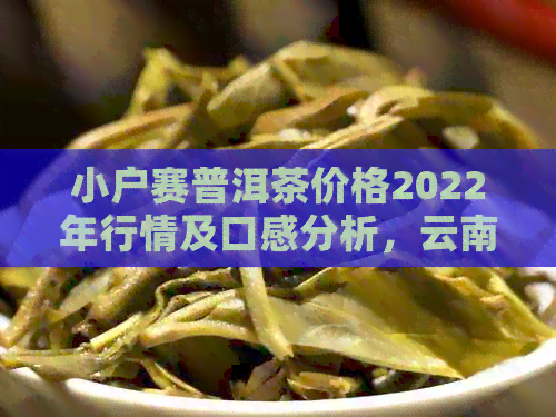 小户赛普洱茶价格2022年行情及口感分析，云南普洱茶小户赛百科全书