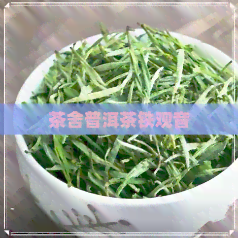 茶舍普洱茶铁观音