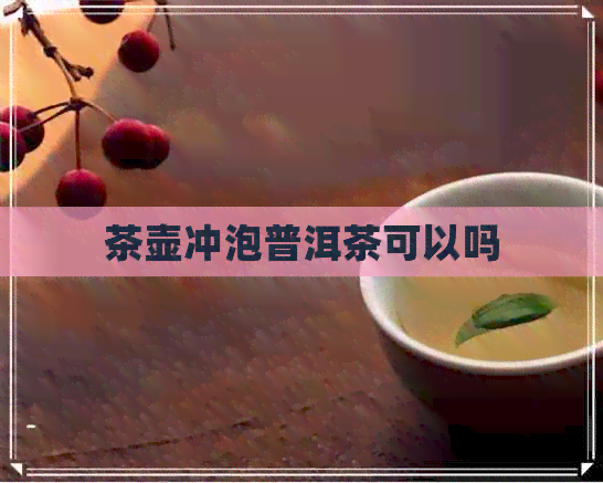 茶壶冲泡普洱茶可以吗