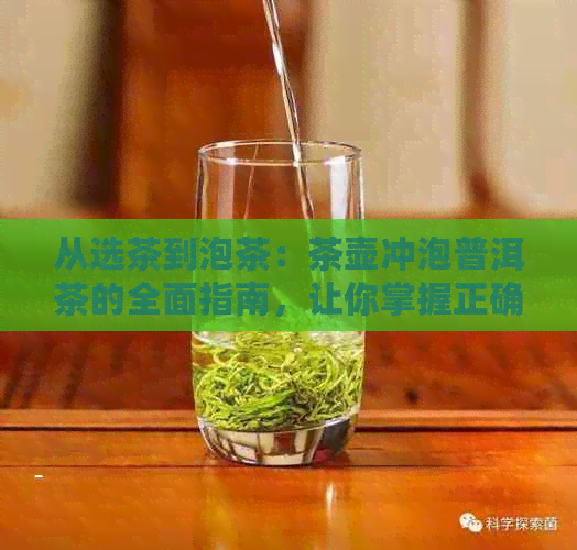 从选茶到泡茶：茶壶冲泡普洱茶的全面指南，让你掌握正确方法与技巧