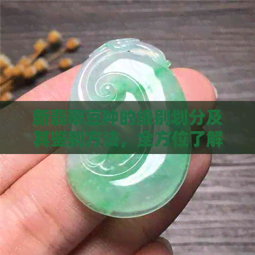 新翡翠豆种的级别划分及其鉴别方法，全方位了解翡翠豆种的品质和价值