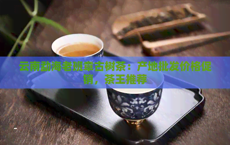 云南勐海老班章古树茶：产地批发价格促销，茶王推荐