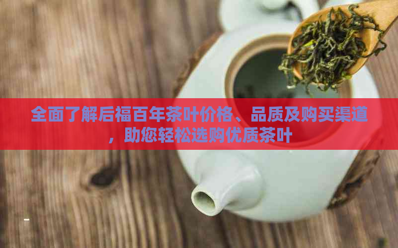 全面了解后福百年茶叶价格、品质及购买渠道，助您轻松选购优质茶叶