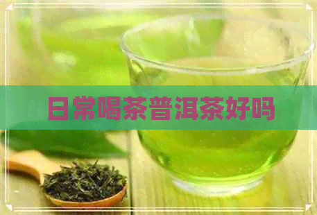 日常喝茶普洱茶好吗