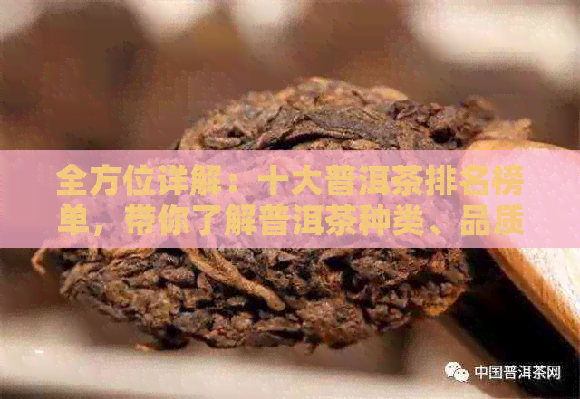 全方位详解：十大普洱茶排名榜单，带你了解普洱茶种类、品质及口感全貌