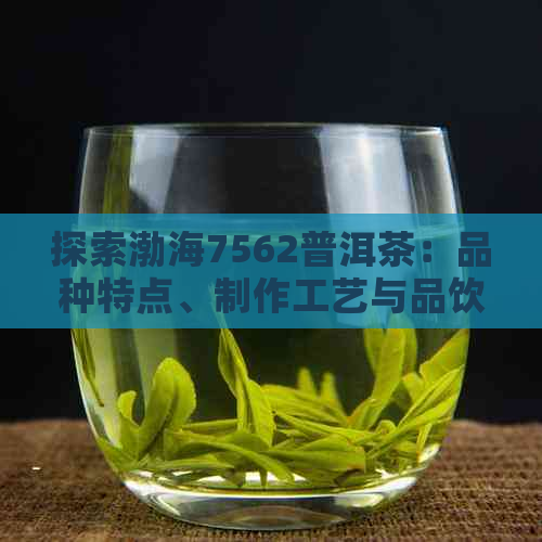 探索渤海7562普洱茶：品种特点、制作工艺与品饮技巧一应俱全