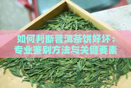 如何判断普洱茶饼好坏：专业鉴别方法与关键要素