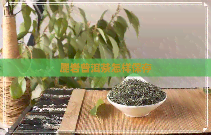 鹿岩普洱茶怎样保存