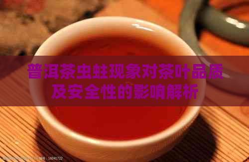 普洱茶虫蛀现象对茶叶品质及安全性的影响解析