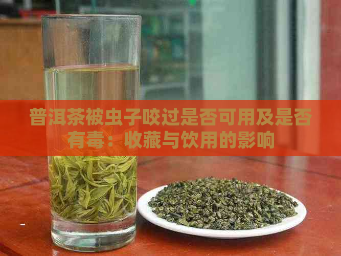 普洱茶被虫子咬过是否可用及是否有：收藏与饮用的影响