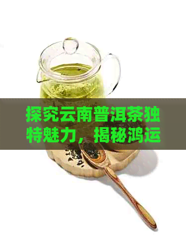 探究云南普洱茶独特魅力，揭秘鸿运茶品的价格与品质