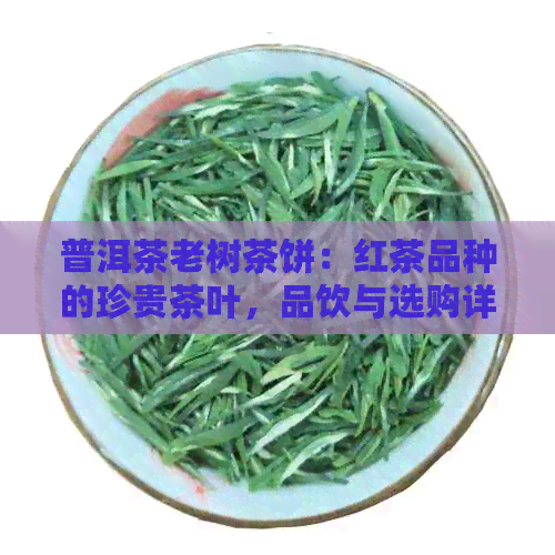 普洱茶老树茶饼：红茶品种的珍贵茶叶，品饮与选购详解