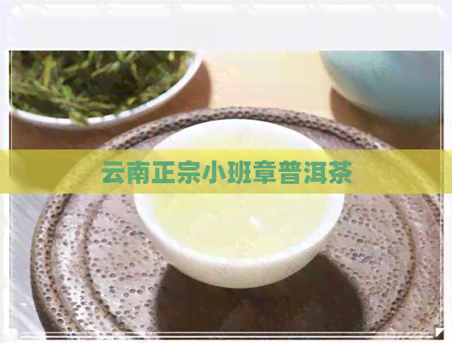 云南正宗小班章普洱茶