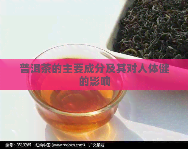 普洱茶的主要成分及其对人体健的影响