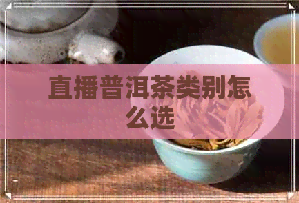 直播普洱茶类别怎么选