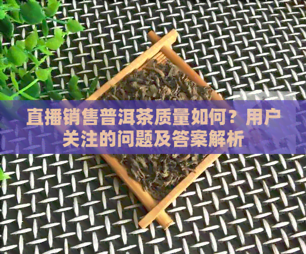 直播销售普洱茶质量如何？用户关注的问题及答案解析