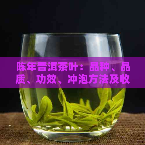 陈年普洱茶叶：品种、品质、功效、冲泡方法及收藏价值全面解析
