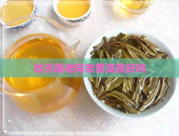 秋天喝老同志普洱茶好吗