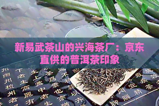 新易武茶山的兴海茶厂：京东直供的普洱茶印象