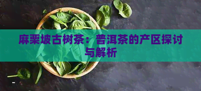 麻栗坡古树茶：普洱茶的产区探讨与解析