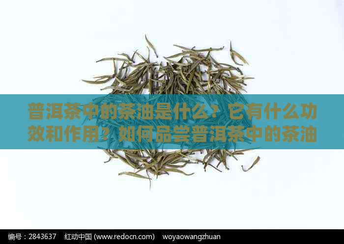 普洱茶中的茶油是什么？它有什么功效和作用？如何品尝普洱茶中的茶油？