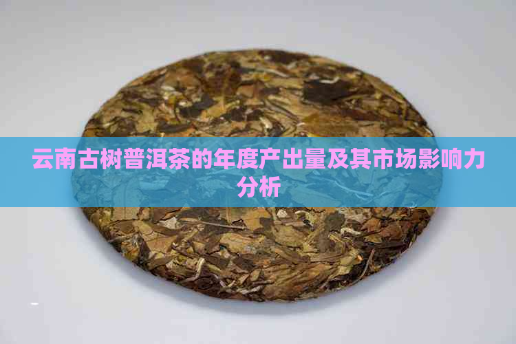 云南古树普洱茶的年度产出量及其市场影响力分析