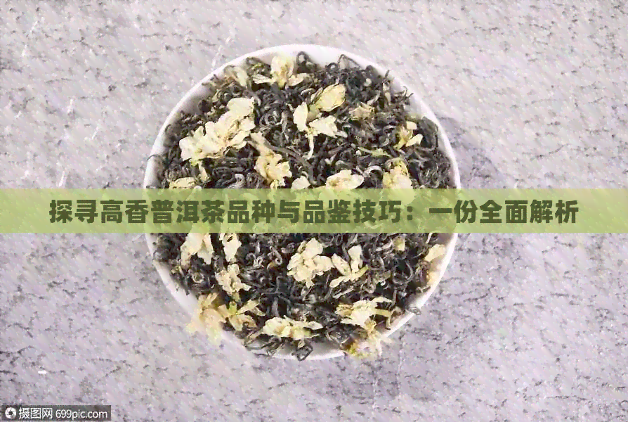 探寻高香普洱茶品种与品鉴技巧：一份全面解析