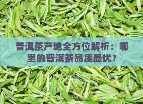 普洱茶产地全方位解析：哪里的普洱茶品质更优？