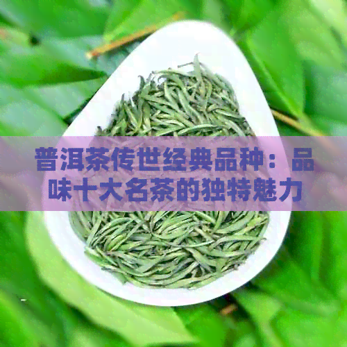 普洱茶传世经典品种：品味十大名茶的独特魅力