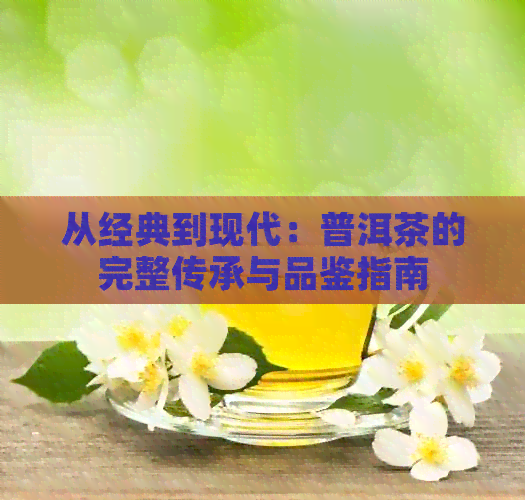 从经典到现代：普洱茶的完整传承与品鉴指南