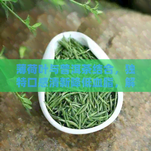 薄荷叶与普洱茶结合，独特口感清新降低血脂，解析薄荷塘普洱茶的显著特点