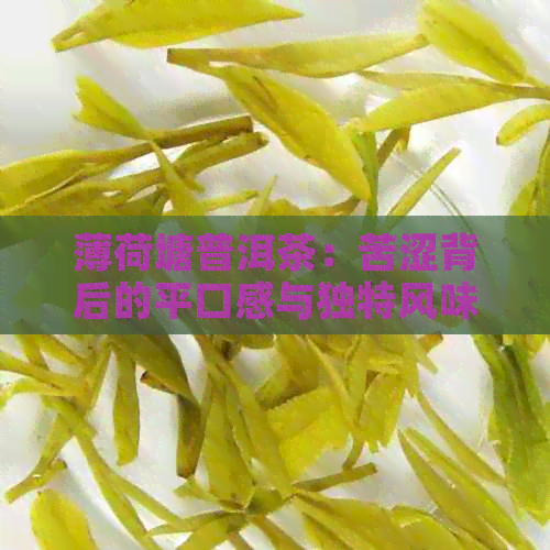 薄荷塘普洱茶：苦涩背后的平口感与独特风味探究