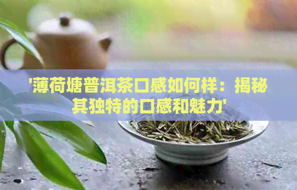 '薄荷塘普洱茶口感如何样：揭秘其独特的口感和魅力'