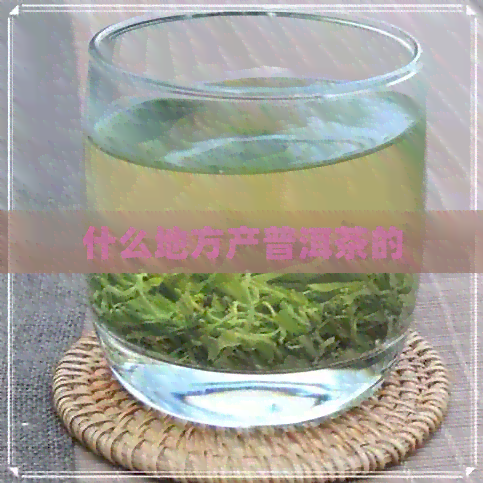 什么地方产普洱茶的