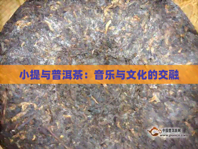 小提与普洱茶：音乐与文化的交融