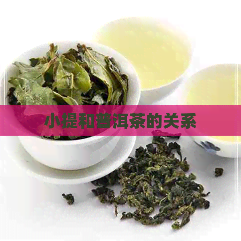 小提和普洱茶的关系