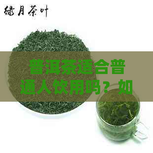 普洱茶适合普通人饮用吗？如何选择和品饮普洱茶以避免不良反应？