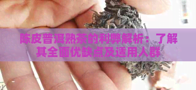 陈皮普洱熟茶的利弊解析：了解其全面优缺点及适用人群