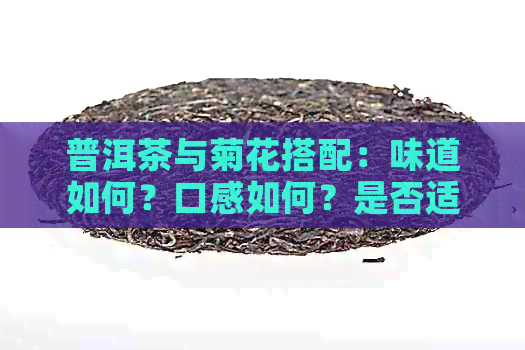 普洱茶与菊花搭配：味道如何？口感如何？是否适合饮用？