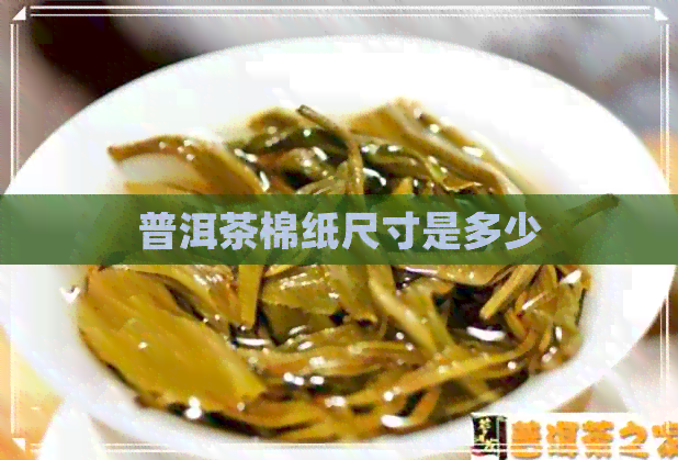 普洱茶棉纸尺寸是多少